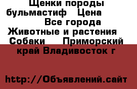 Щенки породы бульмастиф › Цена ­ 25 000 - Все города Животные и растения » Собаки   . Приморский край,Владивосток г.